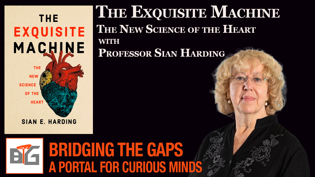 Sian Harding on Bridging the Gaps: A Portal for Curious Minds